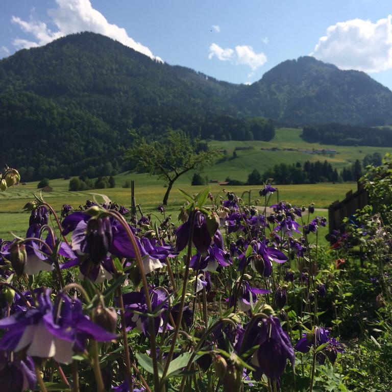 Schifterhof Ruhpolding Villa Kültér fotó