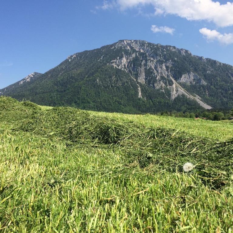 Schifterhof Ruhpolding Villa Kültér fotó